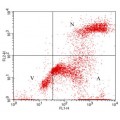 FITC Annexin V and PI Apoptosis Kit (100 rxns)